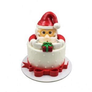 Santa Claus Cake